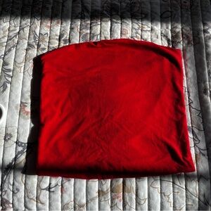 Brandy Melville Red Tube Top